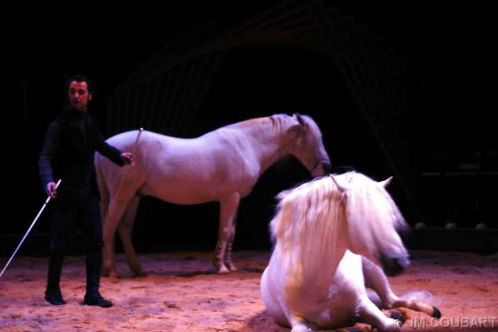 Diapositive suivante